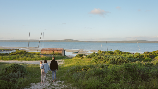 Churchhaven – Wildflower sanctuary